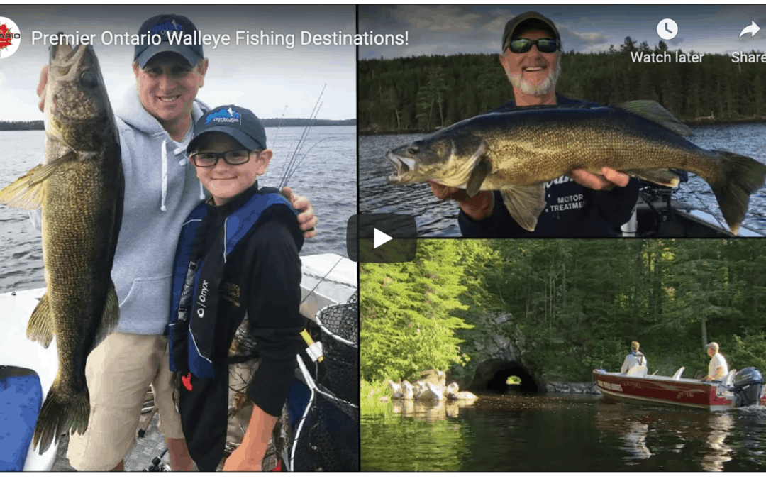 Premier Ontario Walleye Fishing Destinations!