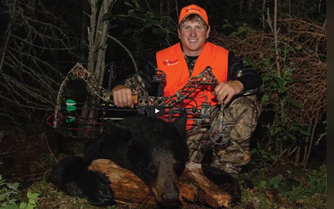 Top Ontario Bear Hunting Trips