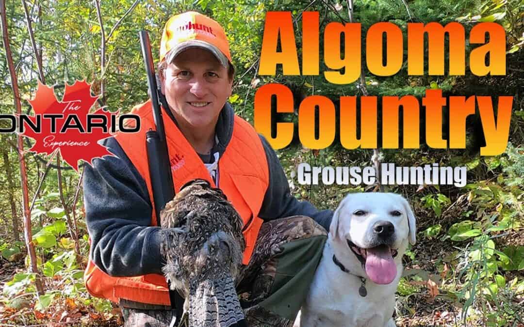 Algoma Country Grouse Hunting — Whitefish Lodge