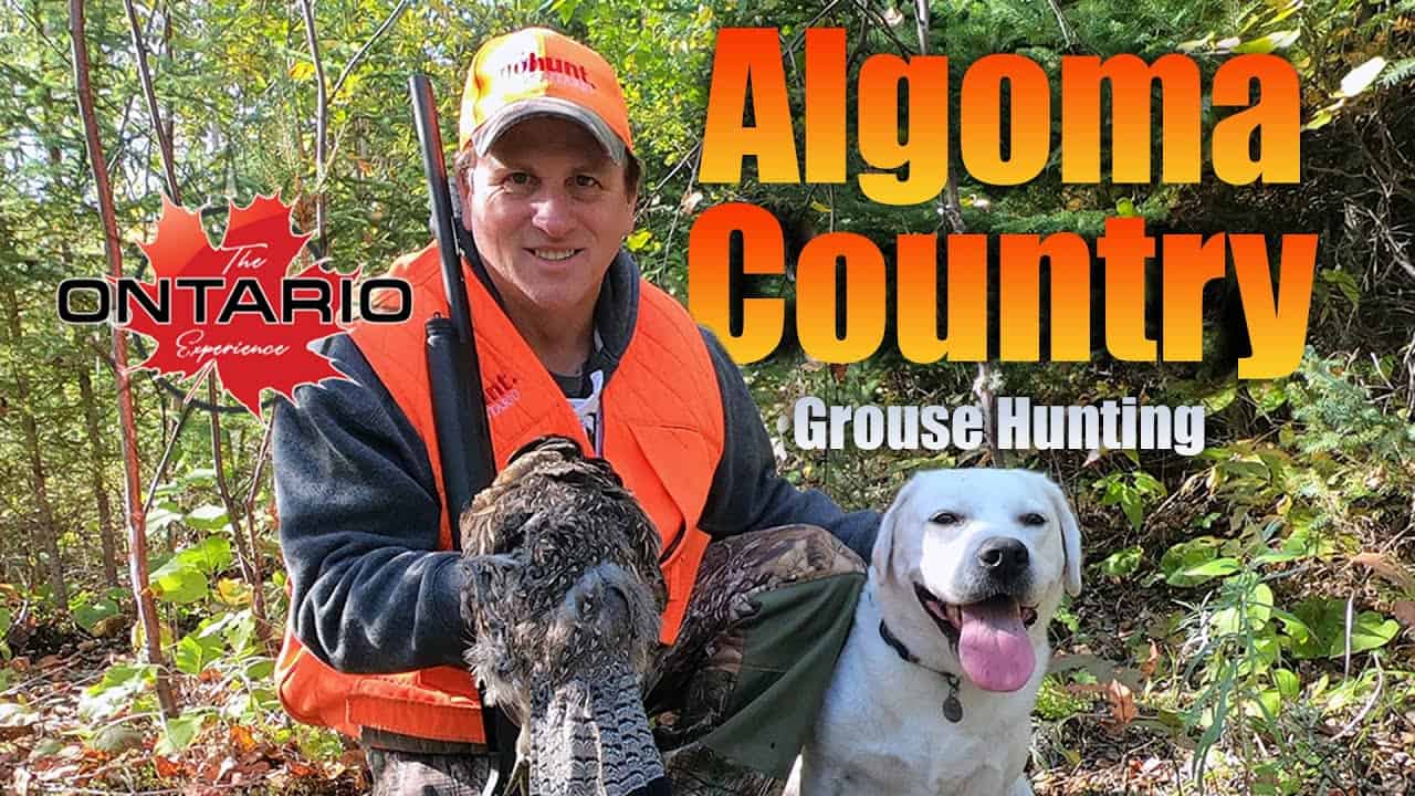 Algoma Country Grouse Hunting